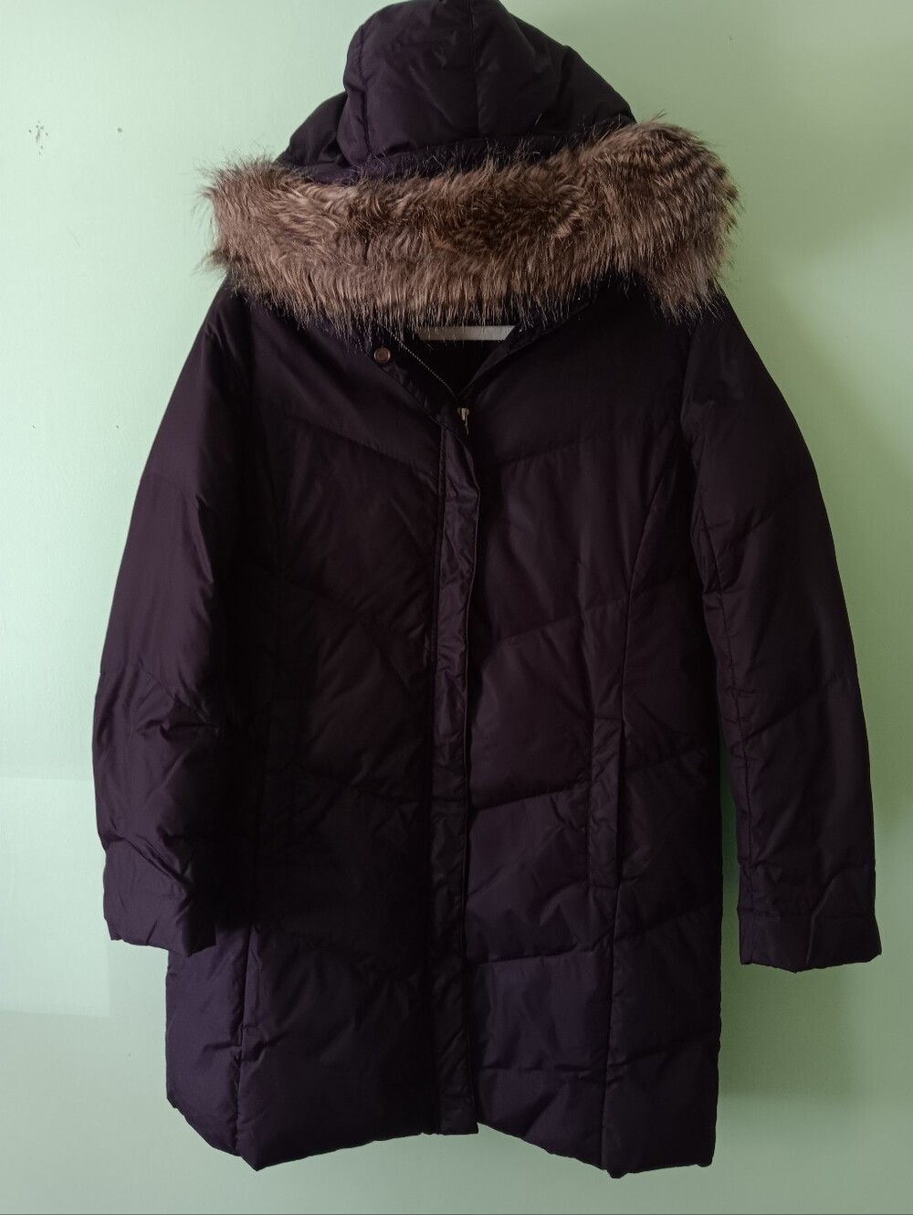 Eileen Fisher Women's Brown Puffy Hood Jacket